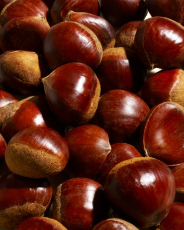 Large California Chestnuts